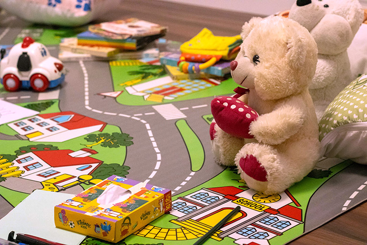 A Casa Sistêmica Edição 01